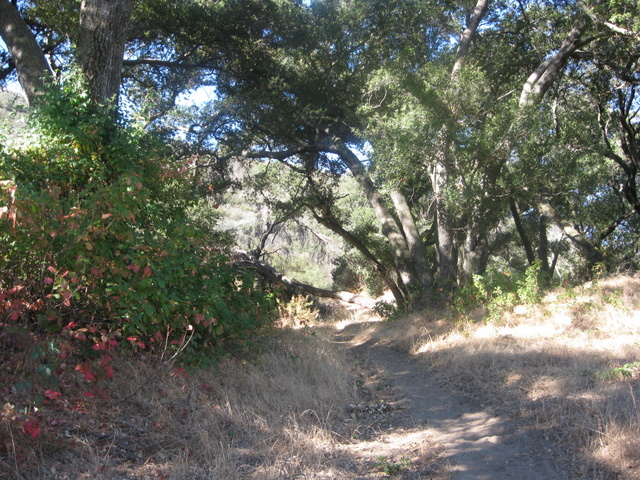 BellBluff2