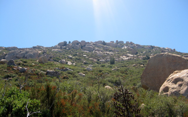 BellBluff4
