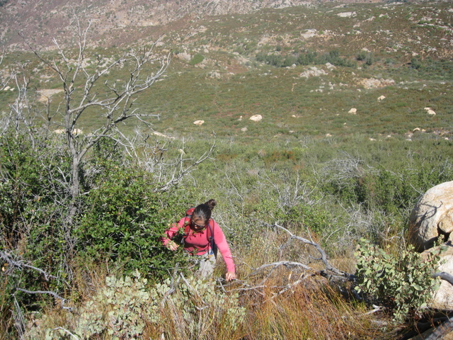 BellBluff5