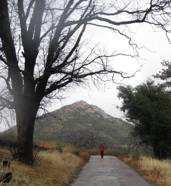 Cuyamaca1