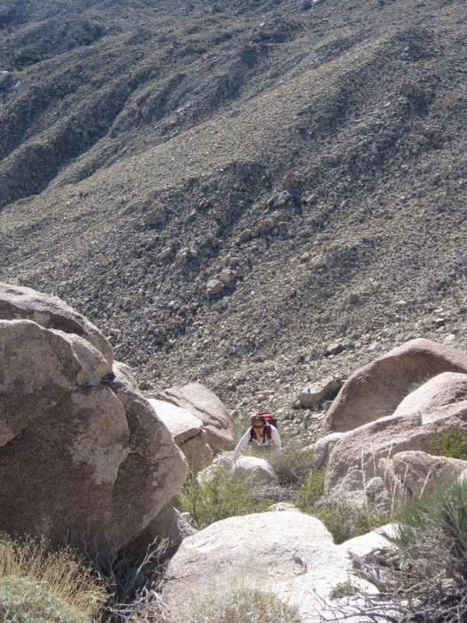 FalseSombrero3
