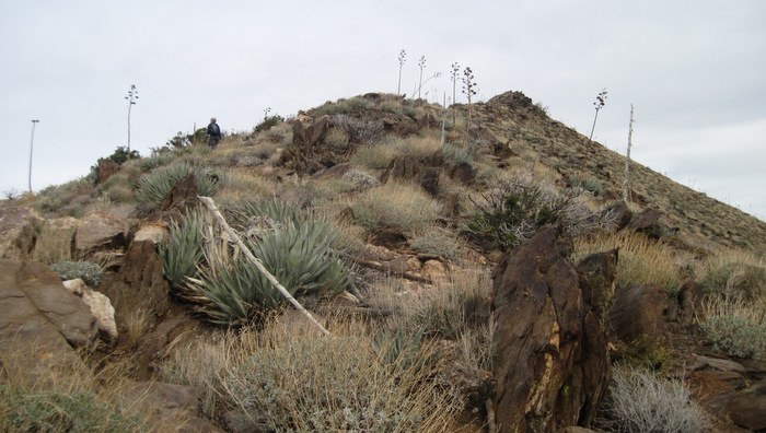Granite4