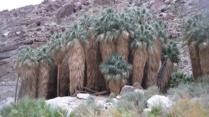 Indianhead13