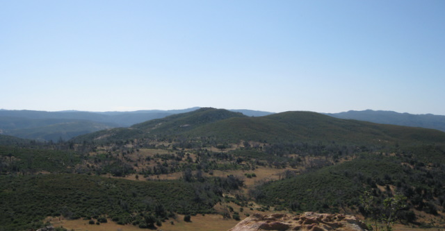 Oakzanita4