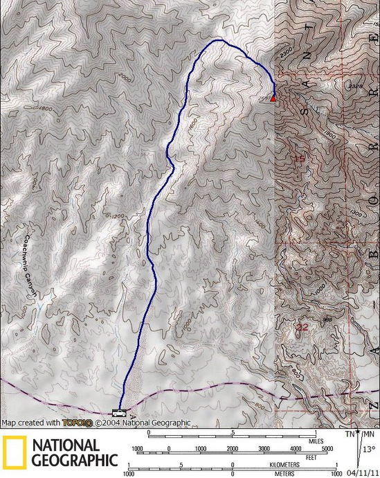 PalmMap