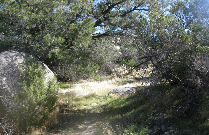 PinyonRidge1