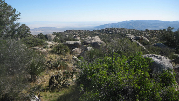PinyonRidge2