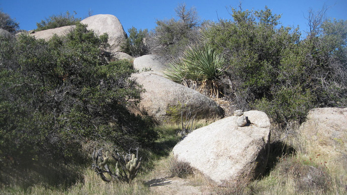 PinyonRidge3