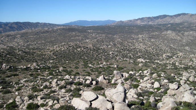 PinyonRidge5