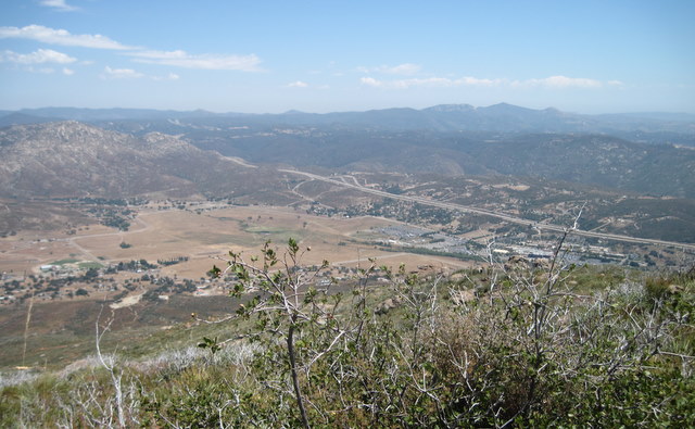 Viejas4