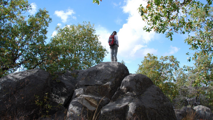 WoodedHill3