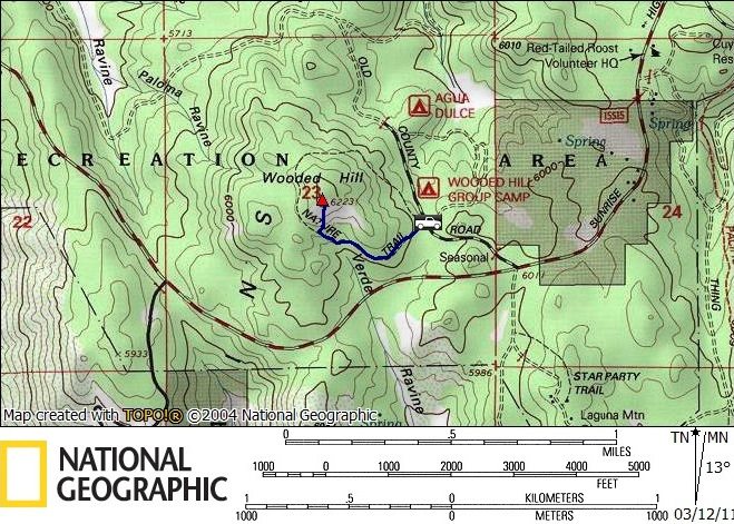 WoodedHillMap