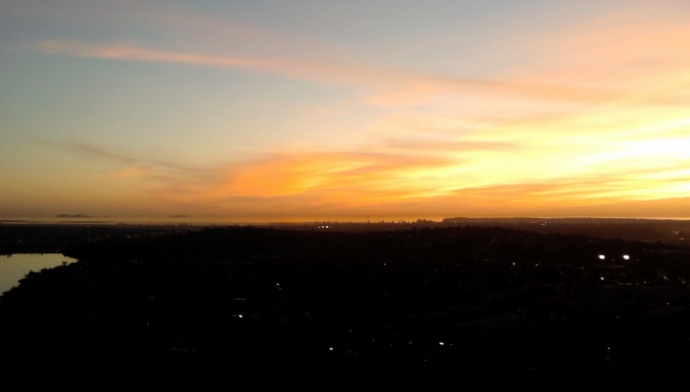 cowles1
