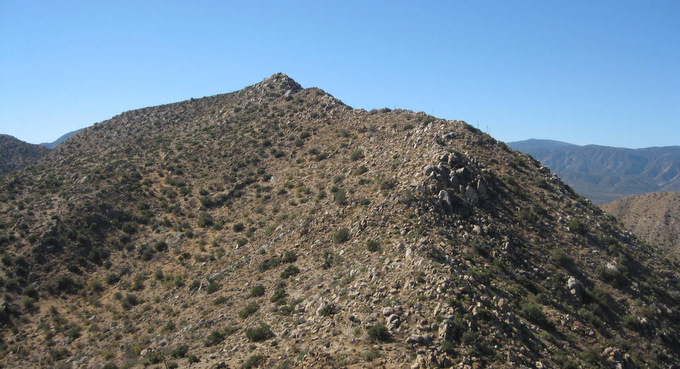 grapevine2