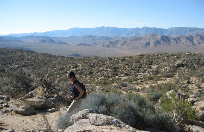 northpinyon1