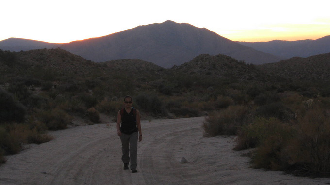 pinyon1