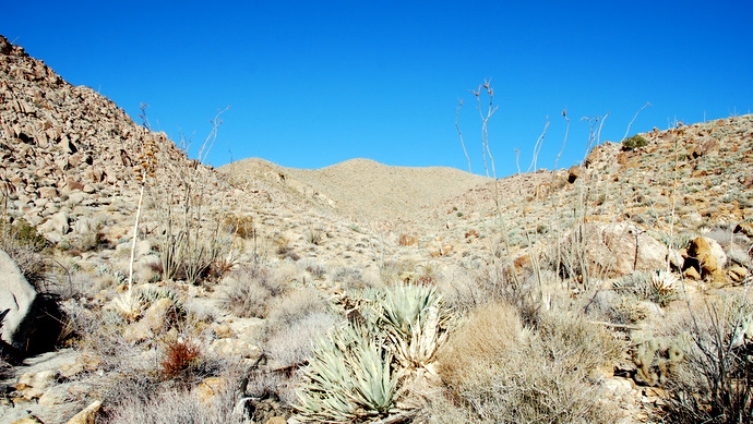 Vallecito_3