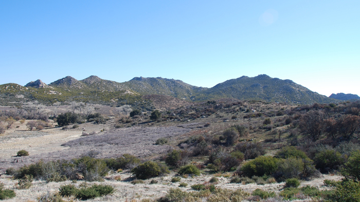 PalmMesa1