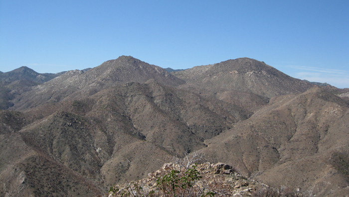PalmMesa12