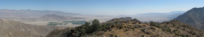 PalmMesa14