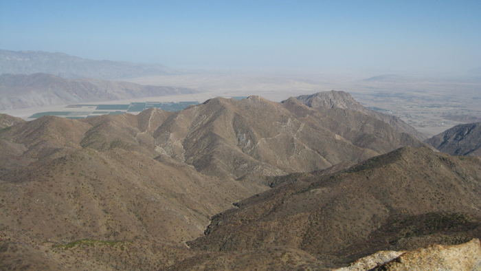 PalmMesa17a